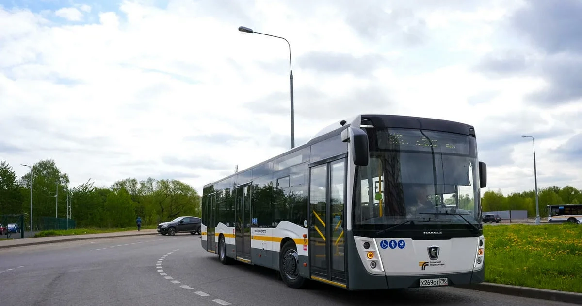 Автобусы — категория D / D1